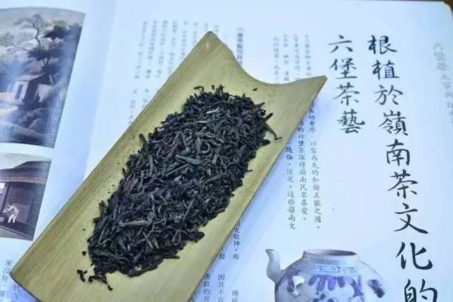 足球以球会友视频,足球缘