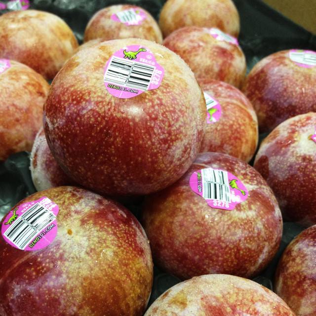 天大的骗局,天大谎言被拆穿