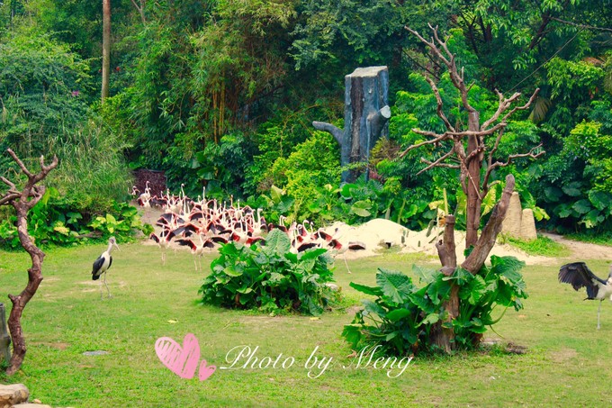 广州长隆水上乐园亲子游攻略视频,珠海长隆海洋快速通道亲子游攻略