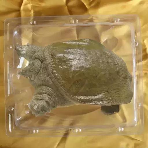 金堂县创建旅游城市,打造天府旅游县