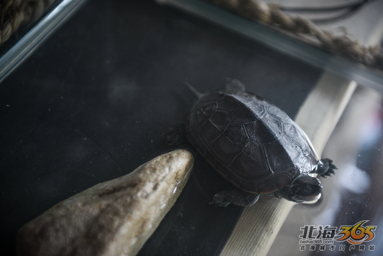 北海女性｜稀奇古怪的店，稀奇古怪的90后老板