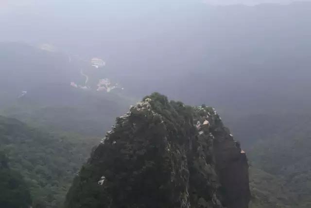 山西历山舜王坪大草原攻略,看云海高山草甸的地方