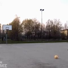 这到底是什么东西啊，好有趣