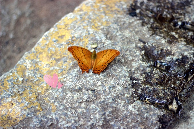 广州长隆水上乐园亲子游攻略视频,珠海长隆海洋快速通道亲子游攻略