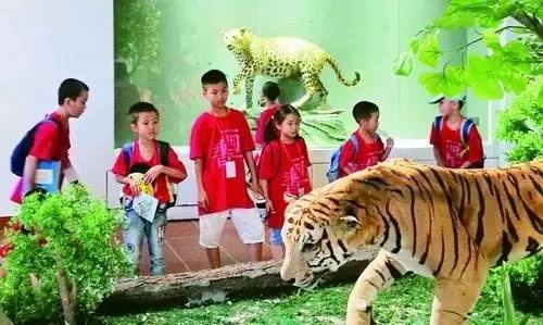 全国唯一的国家级大学博物馆,全国第一家高校博物馆