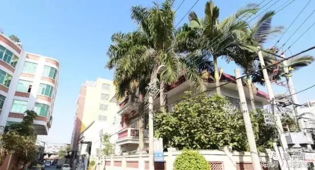 在莲下生活了这么多年，你可知哪个村人口最多？哪个村人口最少？