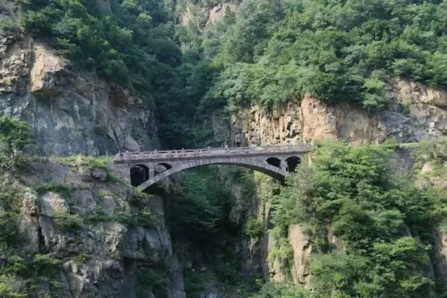 山西历山舜王坪大草原攻略,看云海高山草甸的地方