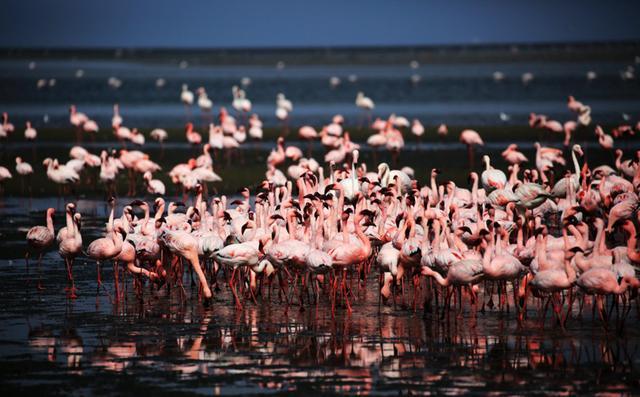 来到纳米比亚，你会知道什么才是非洲应有的样子！