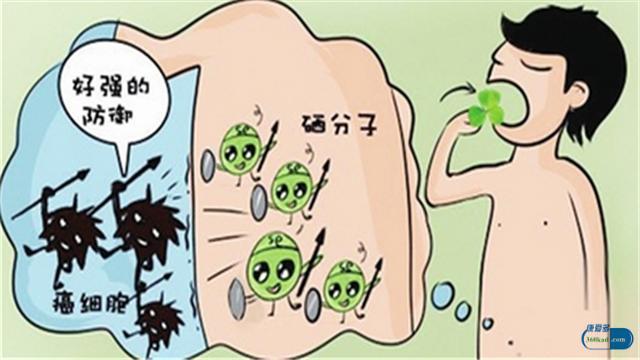 硒酵母片是救命药吗,硒酵母片能降低癌症发病率吗