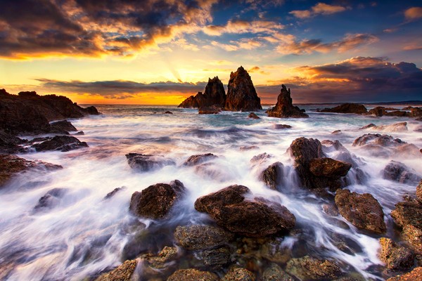 知识是豆浆,智慧是卤水,知识多智慧少,总是一盆豆浆