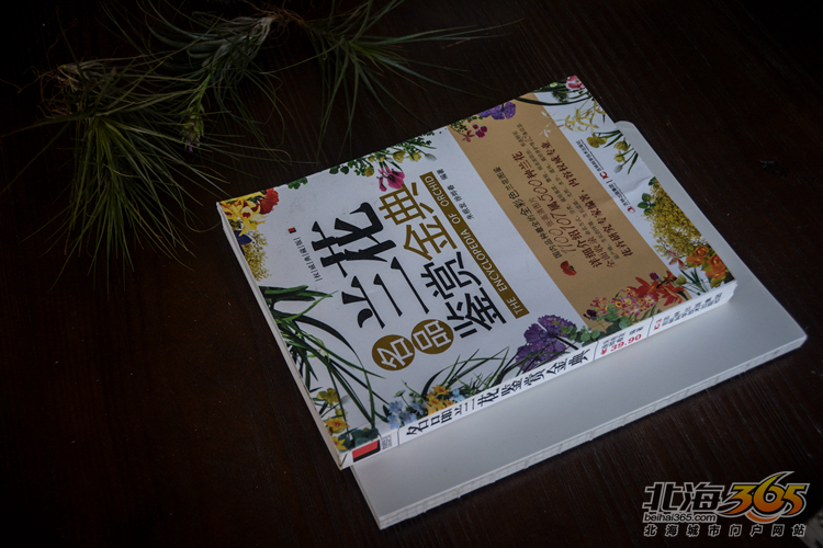 北海女性｜稀奇古怪的店，稀奇古怪的90后老板