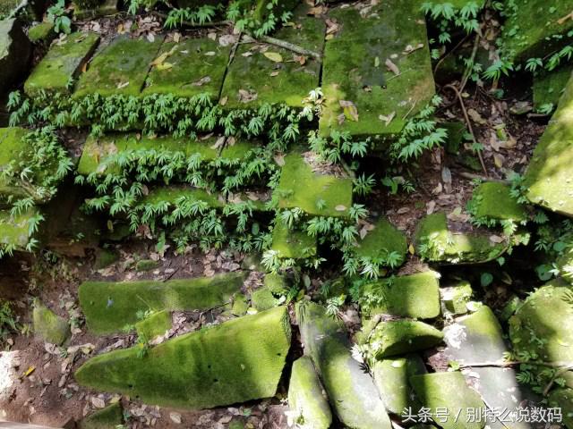 这次带着三星S8去看吴哥窟