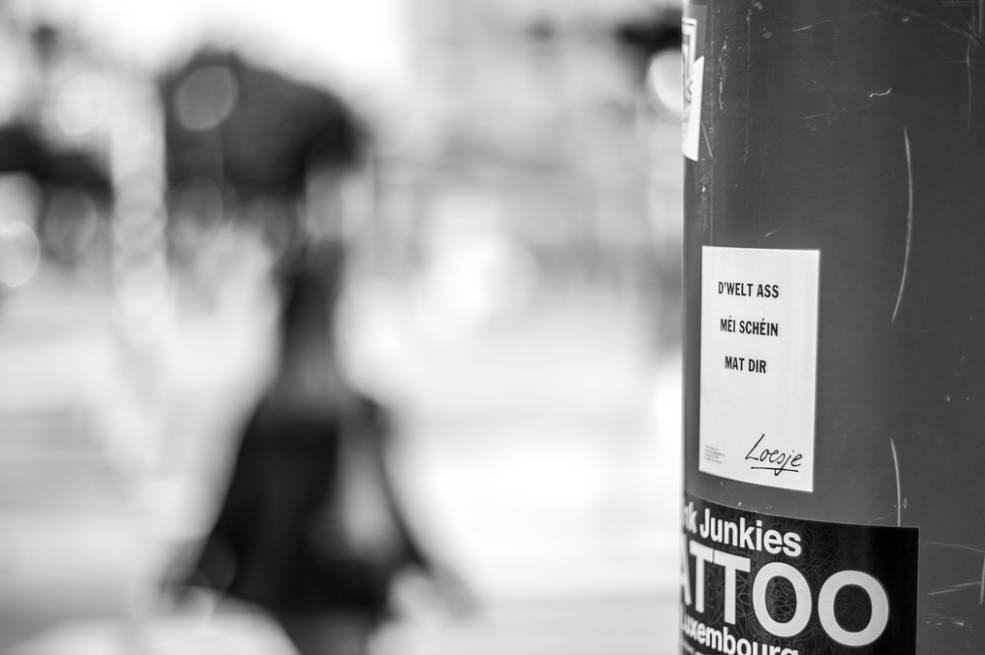 新手50mm镜头推荐,50mm镜头使用技巧