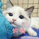 单独居住叫外卖注意什么,叫外卖小哥注意事项