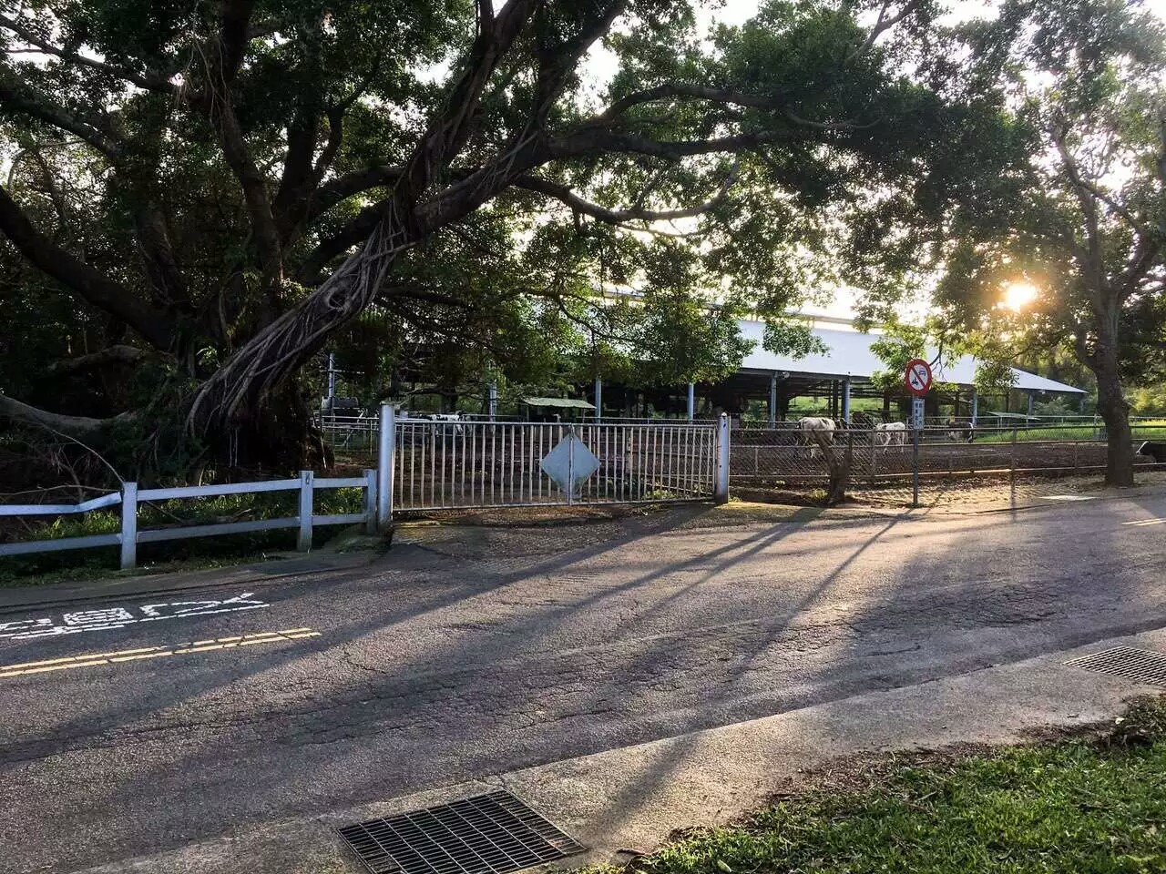 台湾很漂亮的大学,台湾的东海大学值得去吗