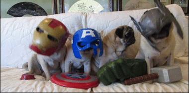 夕阳下的奔跑是我逝去的青春出处,我想起那天夕阳下的奔跑出自哪里