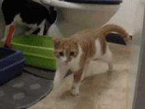 夕阳下的奔跑是我逝去的青春出处,我想起那天夕阳下的奔跑出自哪里