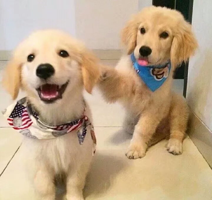 谈恋爱女人吃醋了怎么办,如何让女人吃醋主动找你