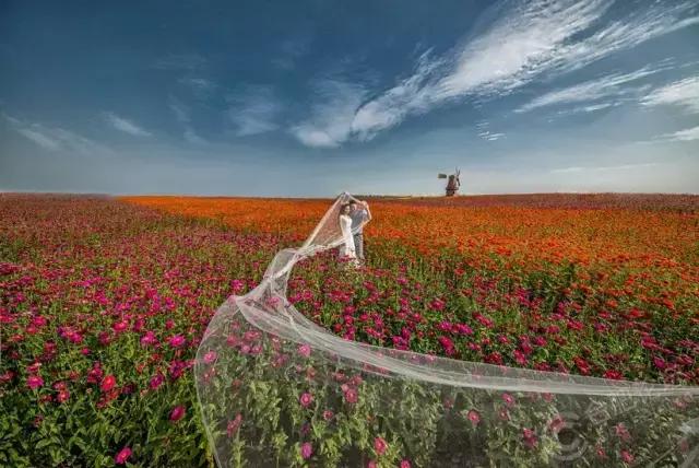 《滨湖使用说明书》，从它开始，重新认识滨湖！