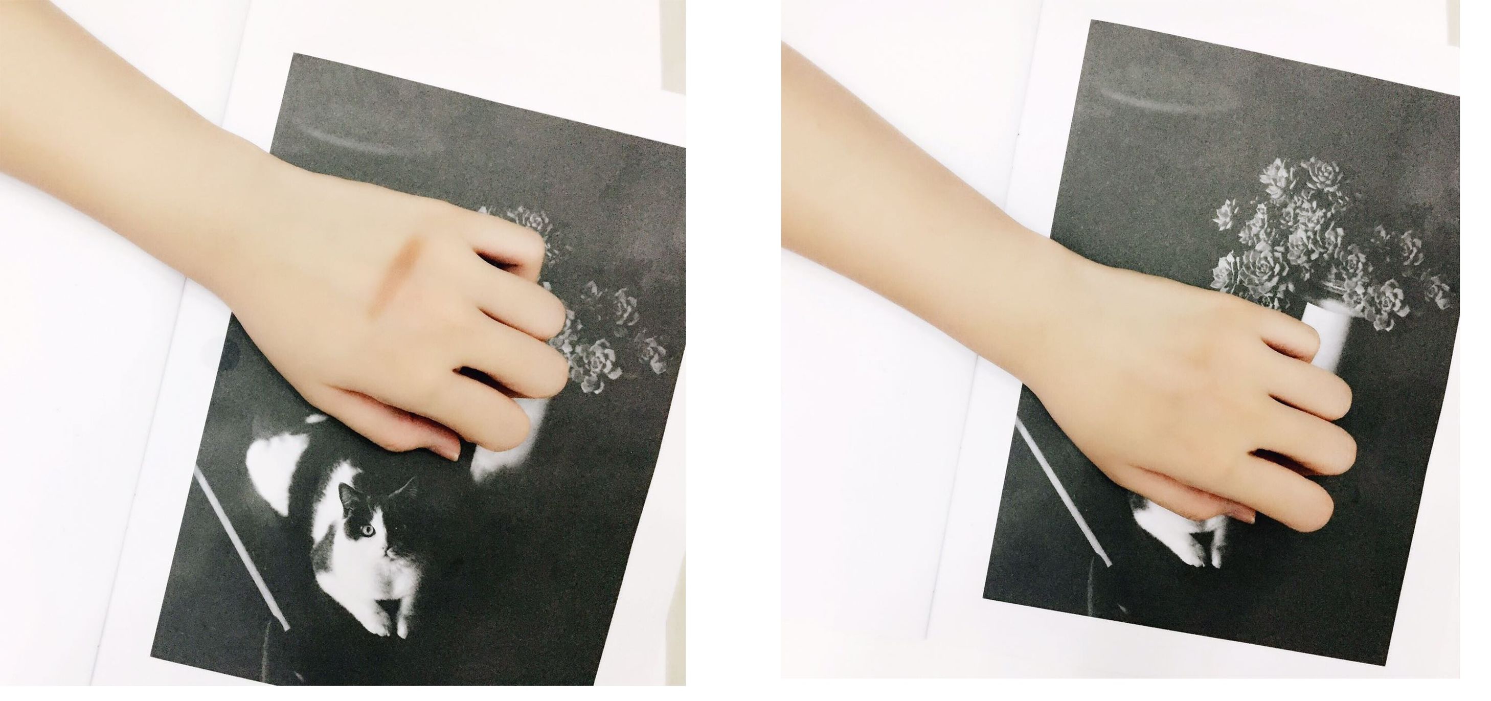 雪美清杨桃面膜,日本雪美清杨桃水测评