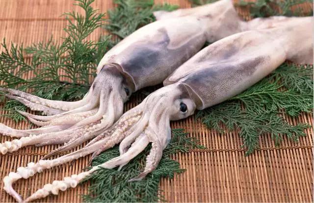 又到吃海鲜的季节咯！一位吕四渔民整理的海鲜大全，保证有你不认识的！