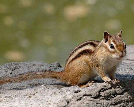 送给女童宝贝的礼物,送给宝贝最好的儿童节礼物