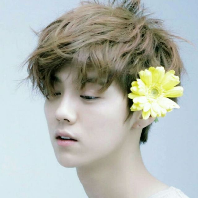 鹿晗最近发型,鹿晗换风格