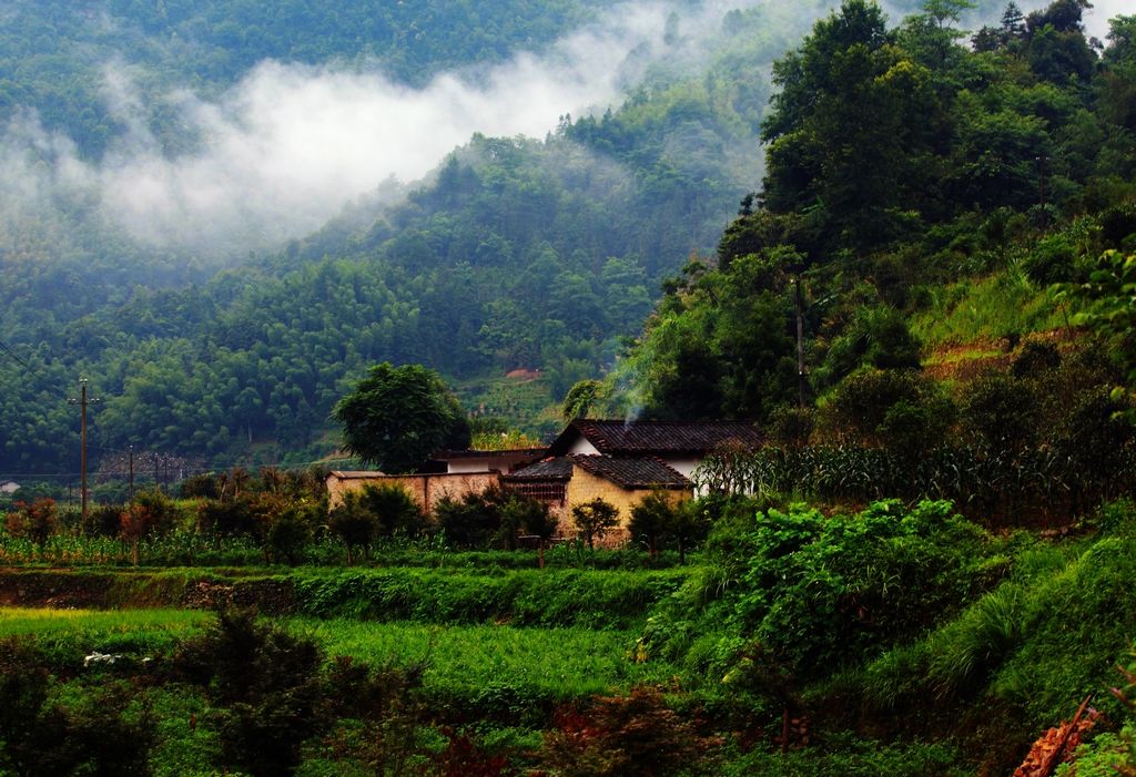 大山里的独户人家致富经,致富经山沟里走出的创业路