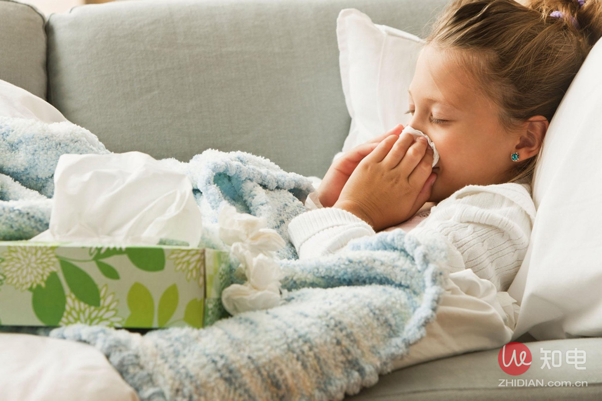 小狗d-616除螨吸尘器,小狗除螨吸尘器d602a说明