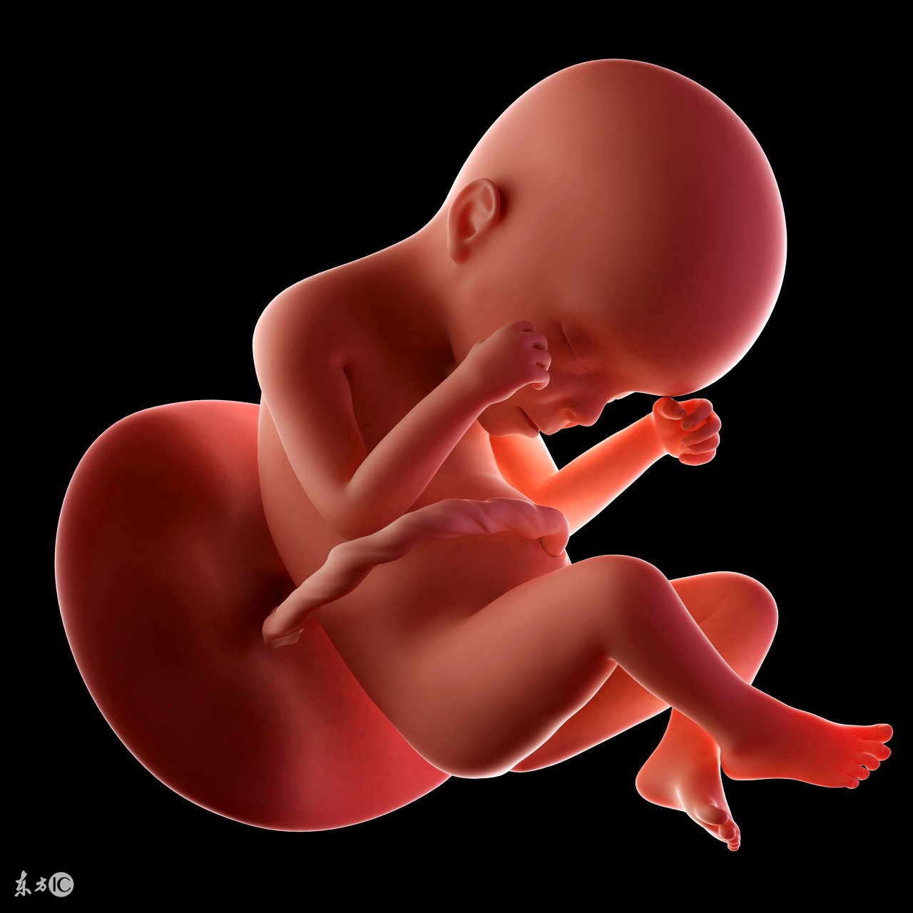 怀孕37周注意事项有哪些呢,孕妈妈32周到37周期间注意什么