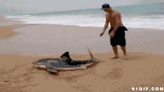 古人竟然这么摩登，代购，吸金早就有了！