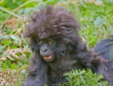 驾驶证考过了给教练买什么烟,考完驾照果断入手教练车