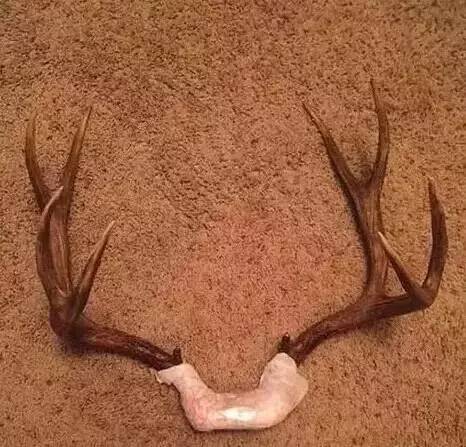 中国海关禁止入境物品清单,各国海关禁带物一览表