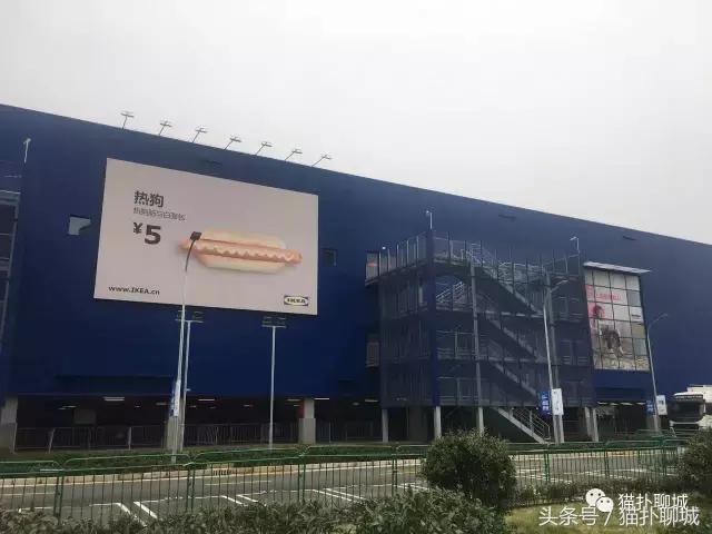 驱车百公里带聊城网友感受济南宜家的魅力，现场火爆商品抢购一空