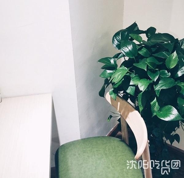 带女神去哪旅游,带女神去旅游