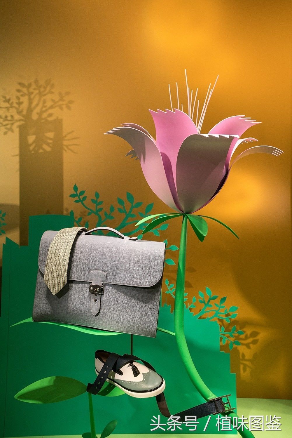 世界顶级奢侈品橱窗,不出家门一分钟尝遍世界咖啡