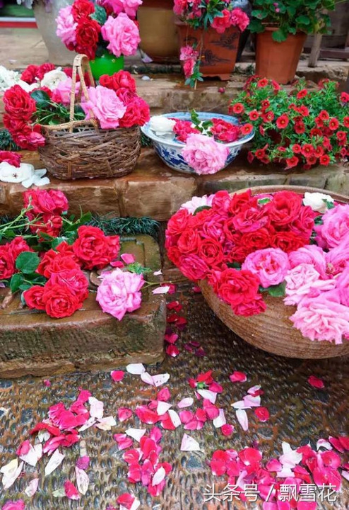 杨丽萍云南丽江太阳宫酒店,杨丽萍太阳宫别墅