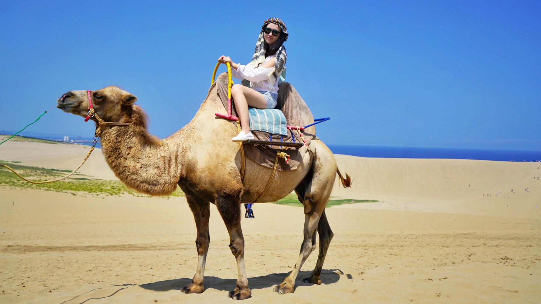 日本东京大阪最值得去的地方,日本大阪深度游攻略