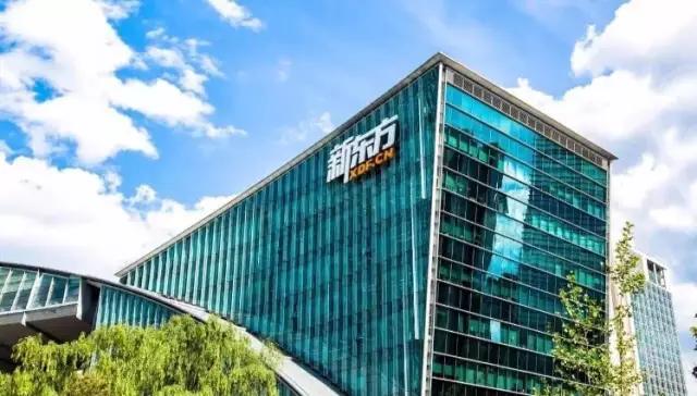 新东方沉浮章鱼,新东方02年