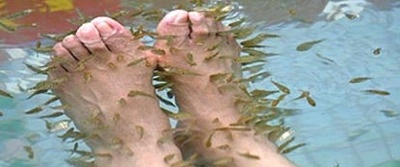 世界十大美容产品排行榜前十名,世界最奇葩美容方式视频