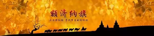 三千年的情缘,三千年的企盼只为这一季的金秋(附攻略)