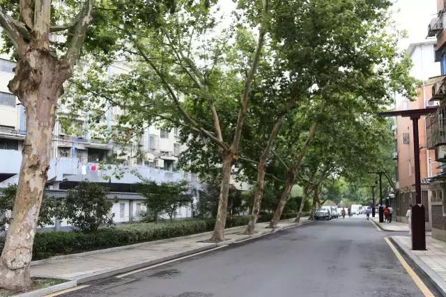 迈皋桥景观改造,迈皋桥老街换新颜