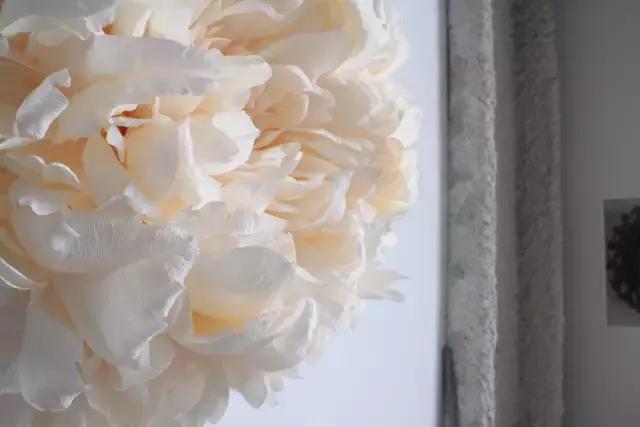 会枯萎腐烂的仿真花,会枯萎的花有什么