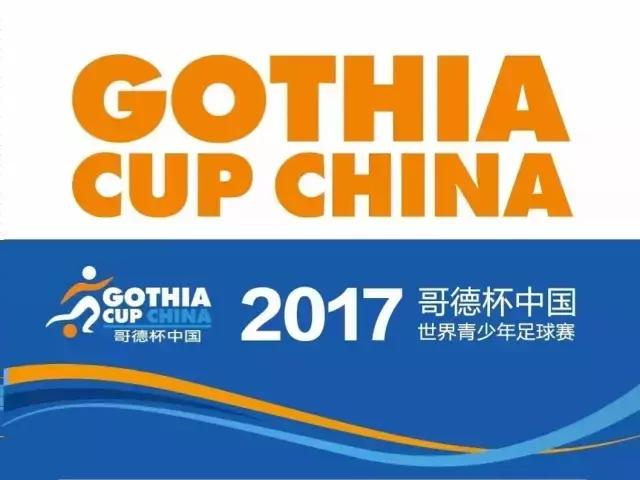 足球小将夺冠,株洲足球小将夺冠