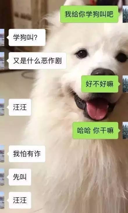 我给你学狗叫吧什么梗,我给你学狗叫吧什么意思