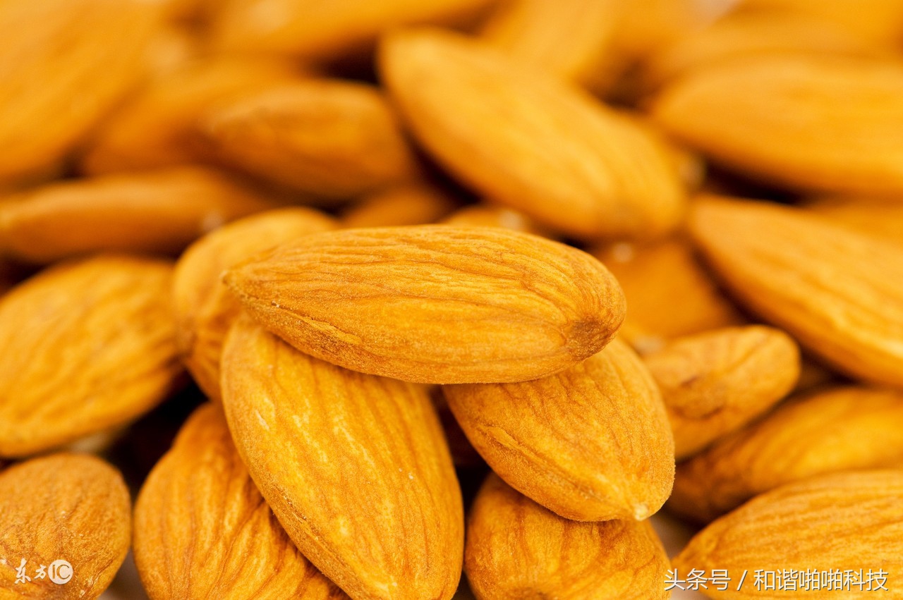 预防疾病的健康长寿食物,4种公认的长寿食物你知道几个