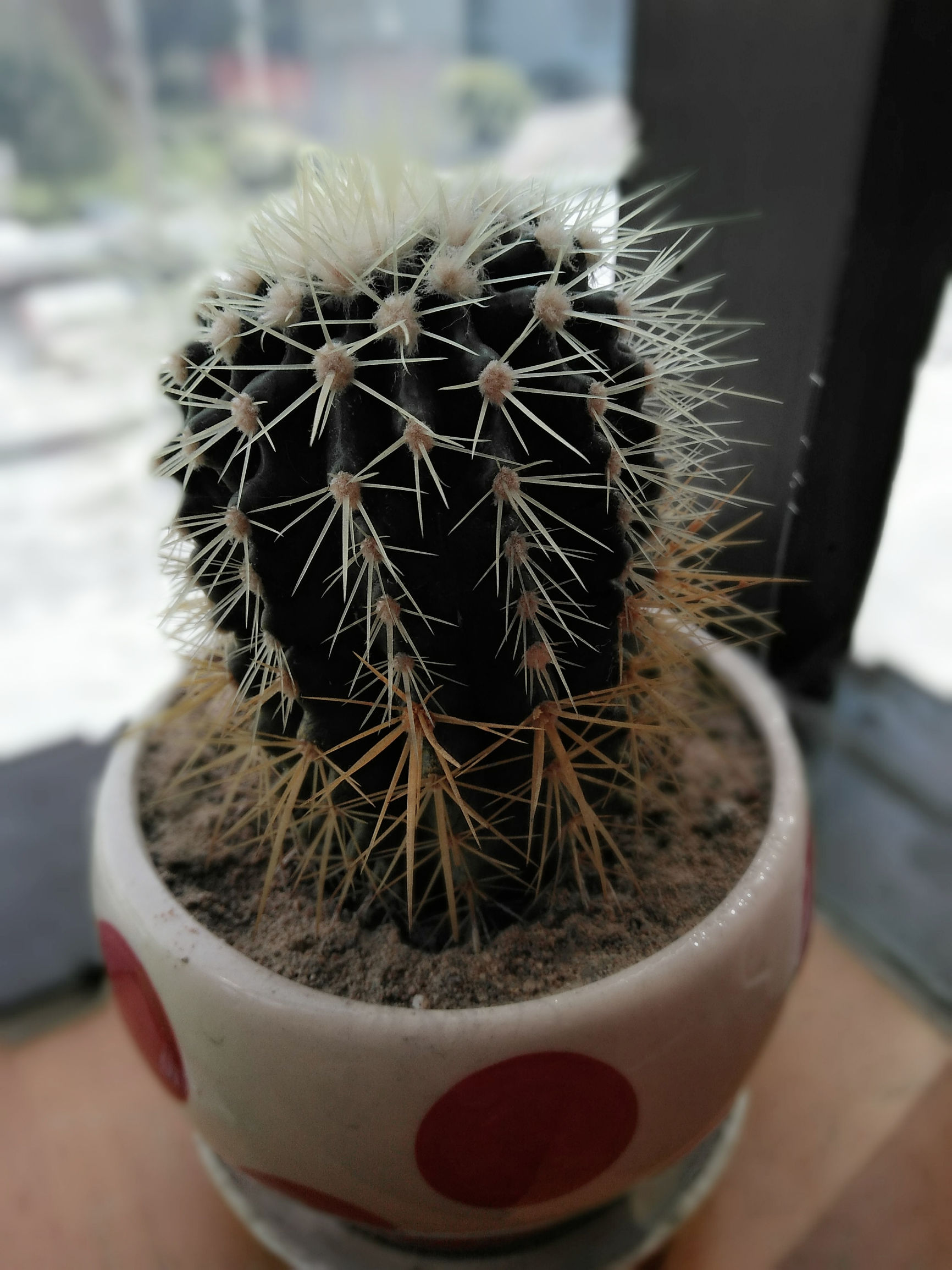 中兴小鲜5支持全网4g,手机除了处理器还有什么