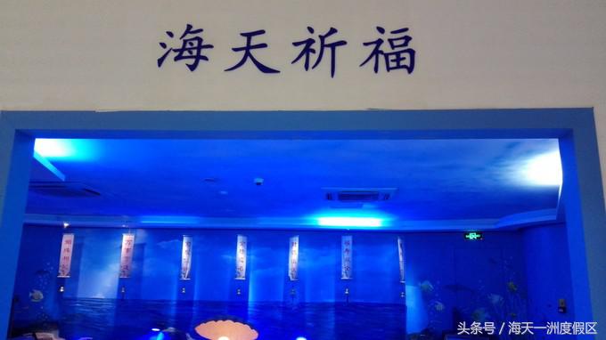 杭州自驾到舟山旅游攻略,杭州湾自驾游一日游