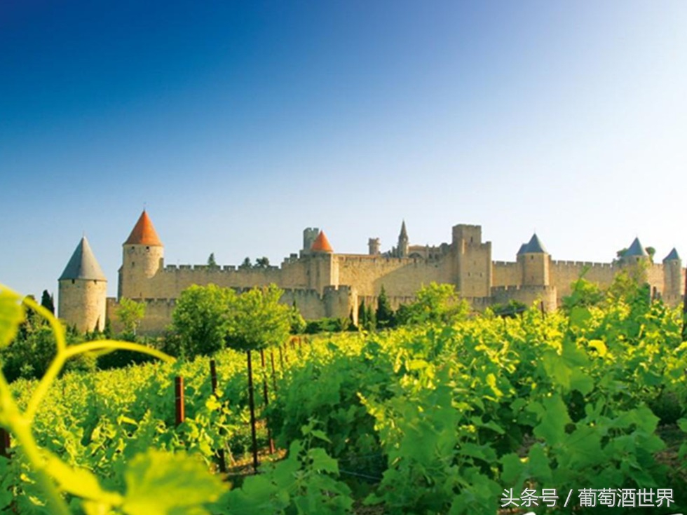 禾富酒庄2016年红酒,澳洲禾富酒庄介绍