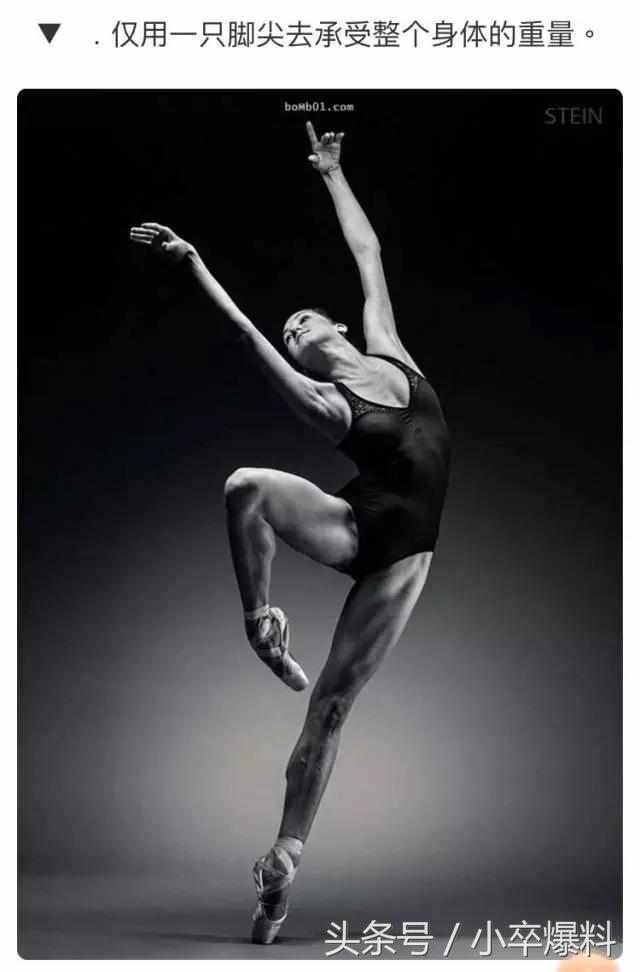 美丽的芭蕾全文,芭蕾舞剧天鹅湖舞蹈